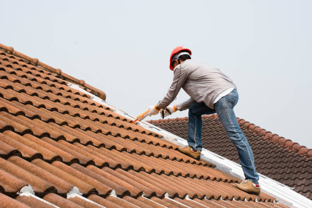 Best Roof Moss and Algae Removal  in Hillsville, VA